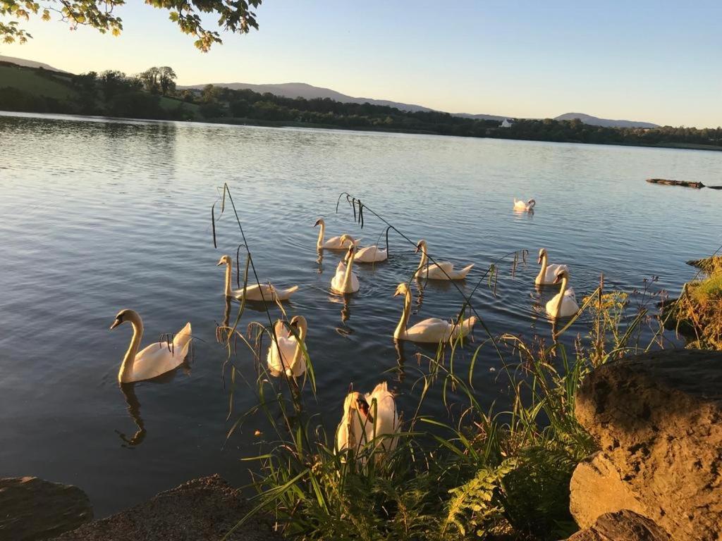 Lakeside Lookout Bantry 코크 외부 사진