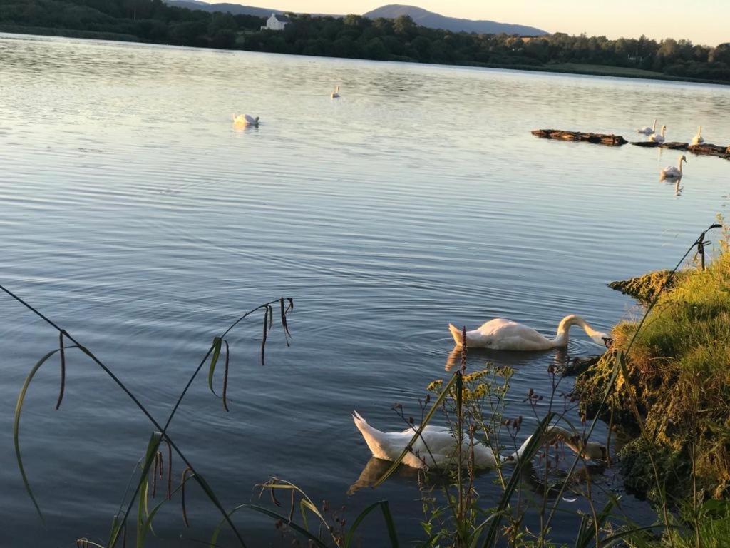 Lakeside Lookout Bantry 코크 외부 사진