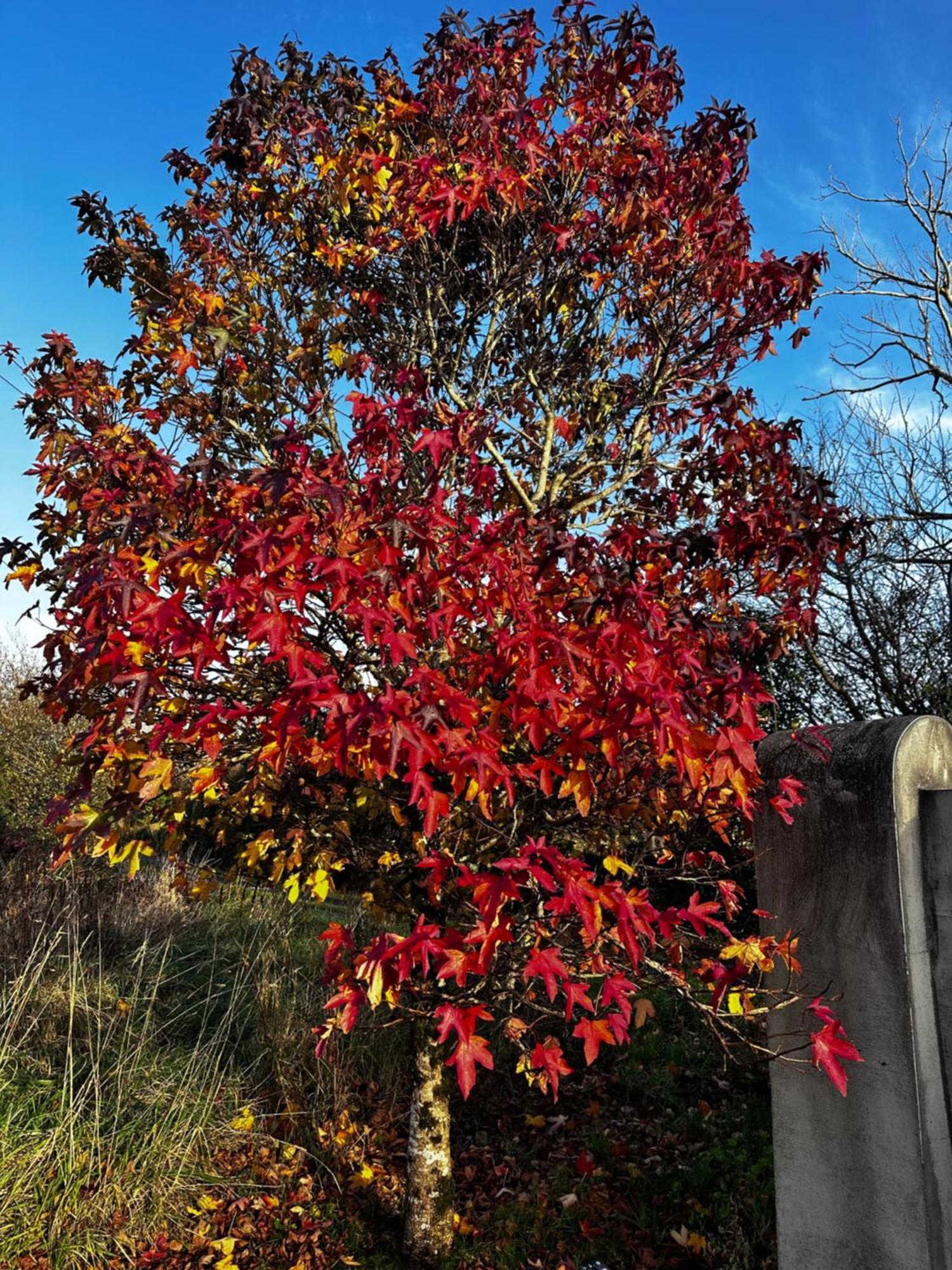Lakeside Lookout Bantry 코크 외부 사진